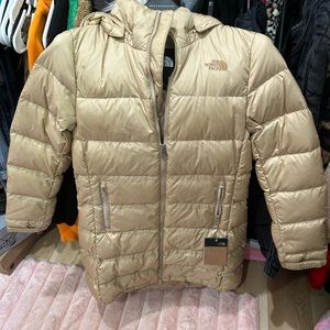 NWT Northface